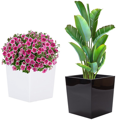 Blumenkübel eckig hochglanz - eckig,