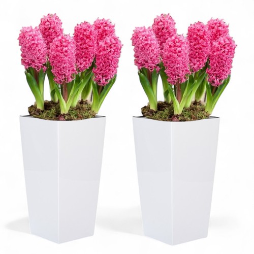 Blumenkübel eckig hochglanz - eckig,